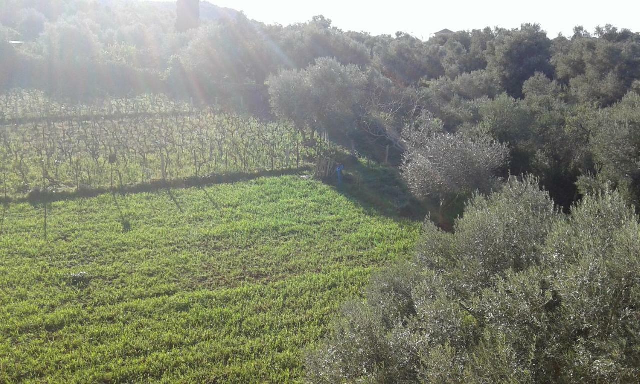 To Agridi Appartamento Tsoukaládhes Esterno foto